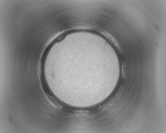 X0000115290436200911301337