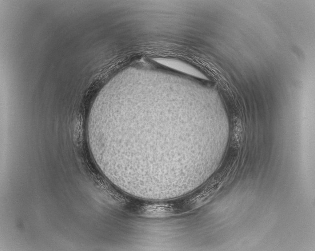 X0000115290461200911301337