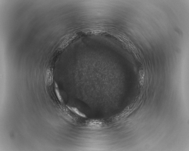 X0000115290471200911301337