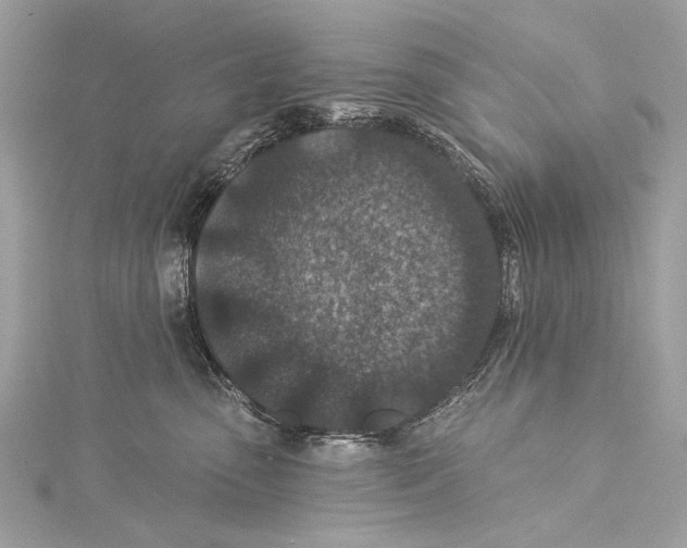 X0000115290475200911301337