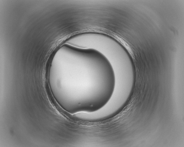 X0000115290485200911301336
