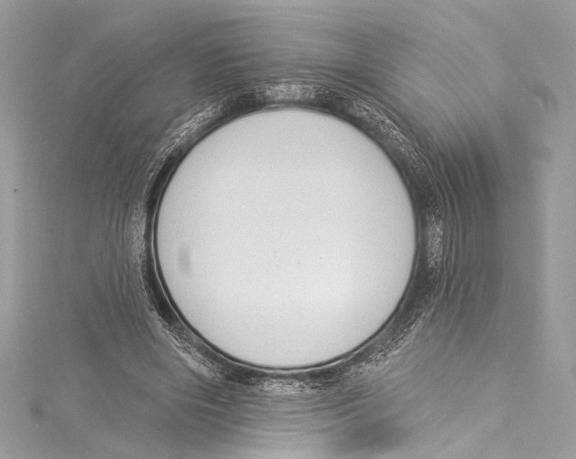 X0000115290490200911301336