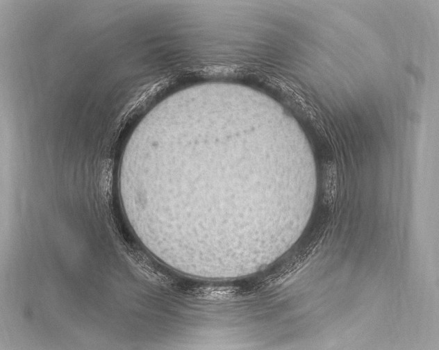 X0000115290495200911301336