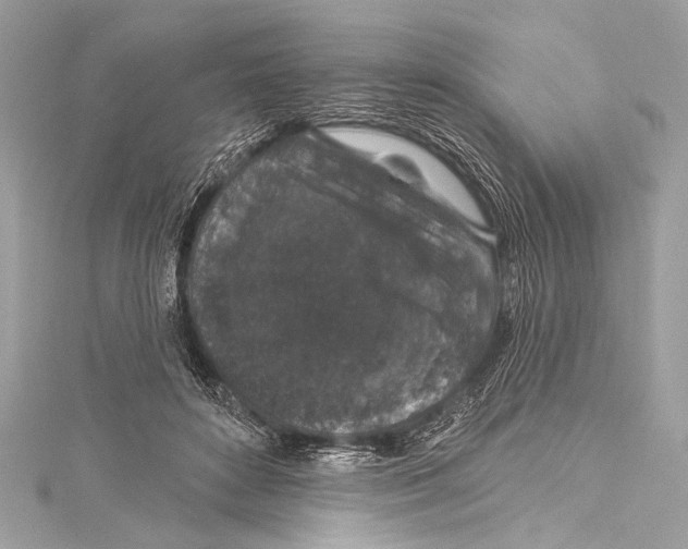 X0000115290504200911301336