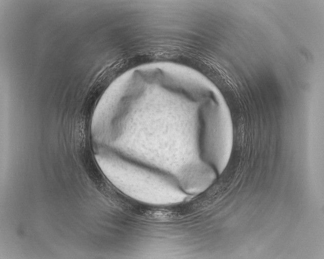 X0000115290506200911301336
