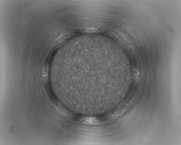 X0000115290507200911301336