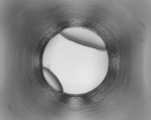 X0000115290508200911301336