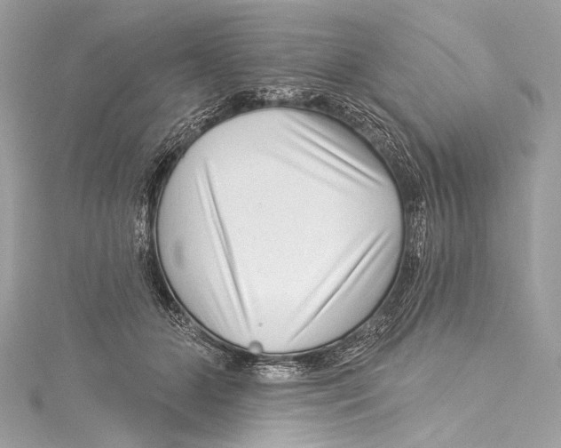X0000115290510200911301336