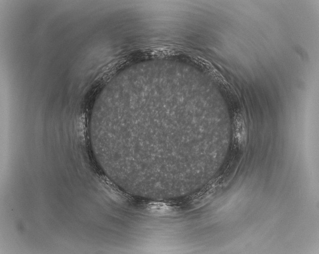 X0000115290519200911301336