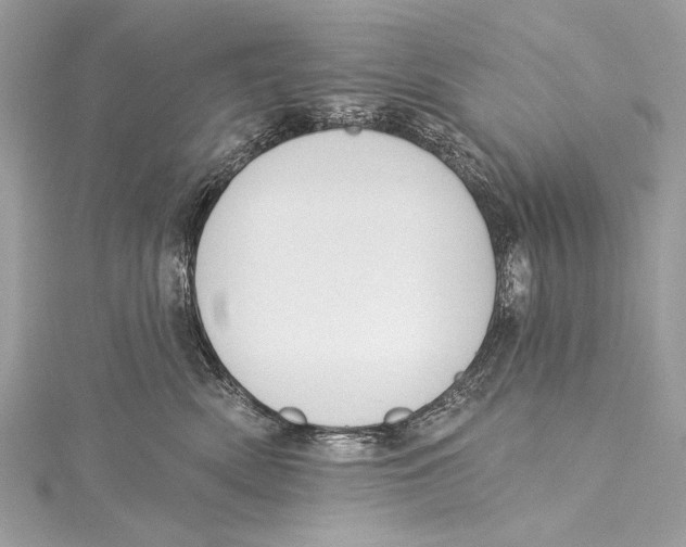 X0000115290522200911301336
