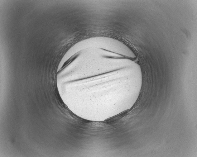 X0000115290528200911301336