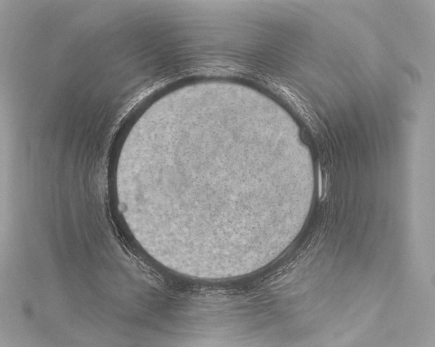 X0000115290531200911301335