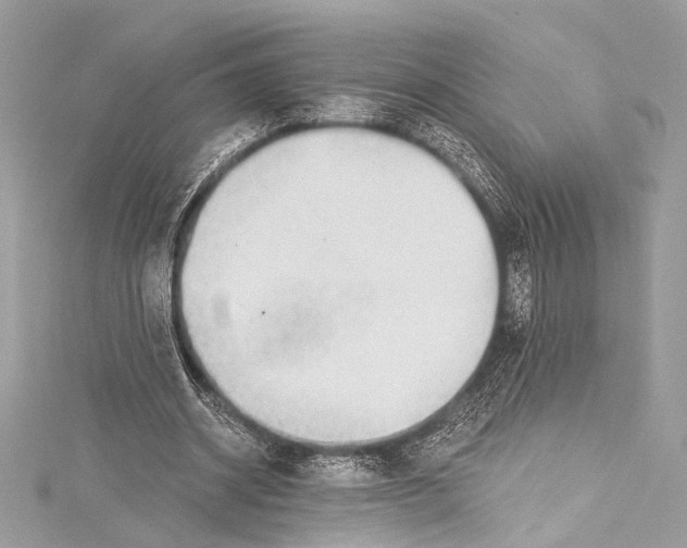 X0000115290534200911301335