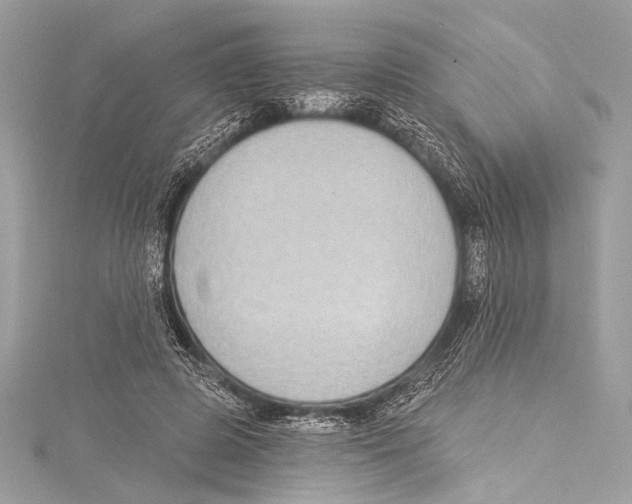 X0000115290545200911301335