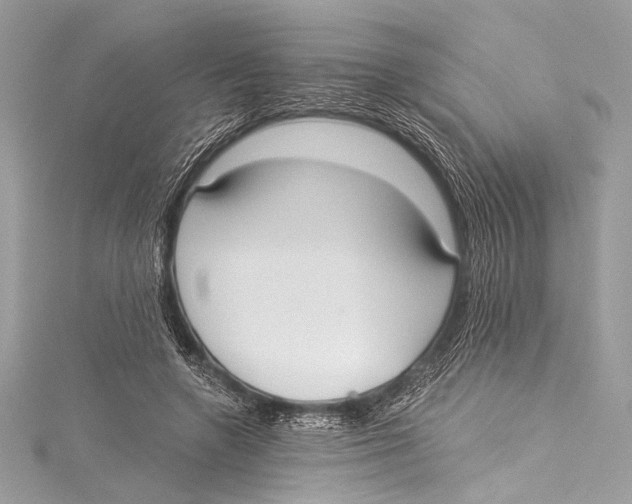 X0000115290546200911301335