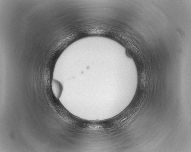 X0000115290547200911301335