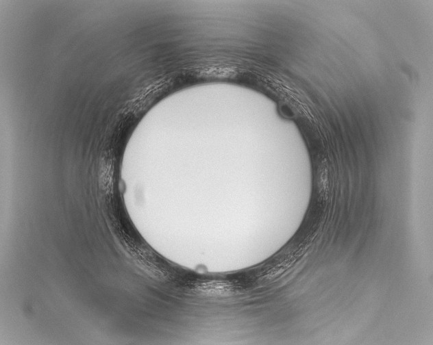 X0000115290551200911301336