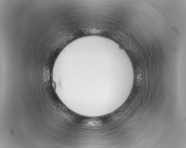 X0000115290555200911301336