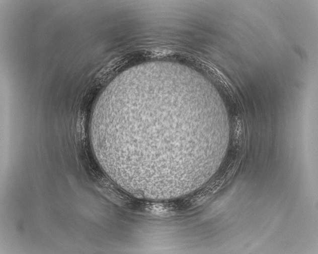 X0000115290565200911301336