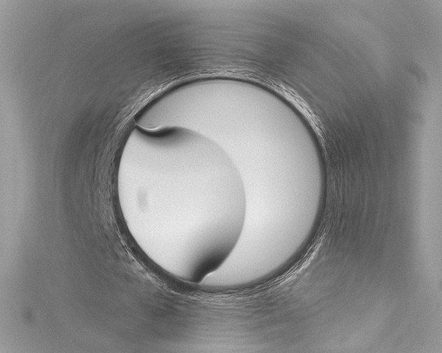 X0000115290577200911301335