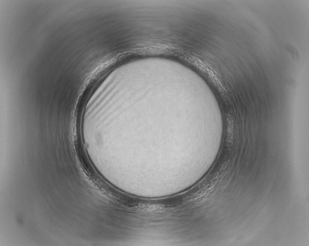 X0000115290582200911301335