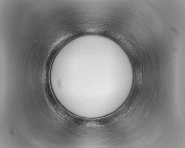 X0000115290587200911301335