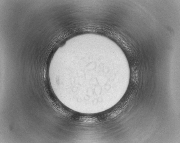 X0000115290597200911301335