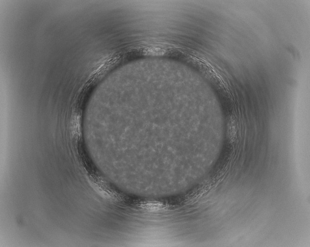 X0000115290598200911301335