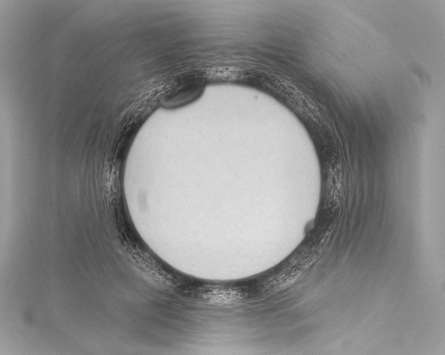 X0000115290601200911301335