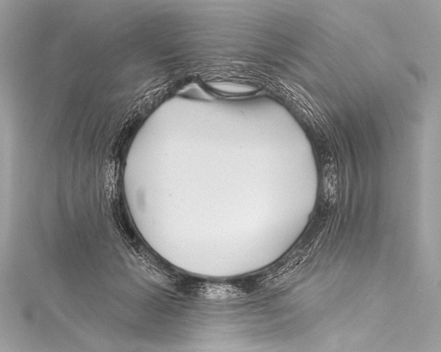 X0000115290605200911301335