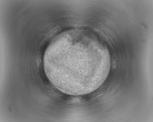 X0000115290618200911301335