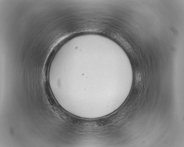 X0000115290628200911301334