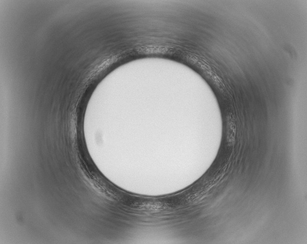 X0000115290631200911301334
