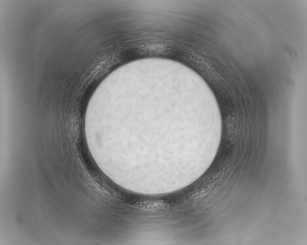 X0000115290642200911301334
