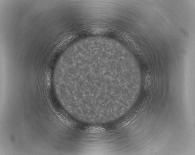 X0000115290644200911301334