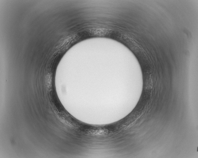 X0000115290646200911301334