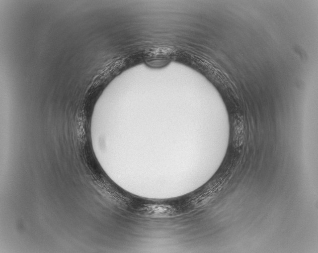 X0000115290654200911301334