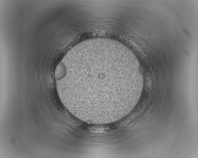 X0000115290661200911301334
