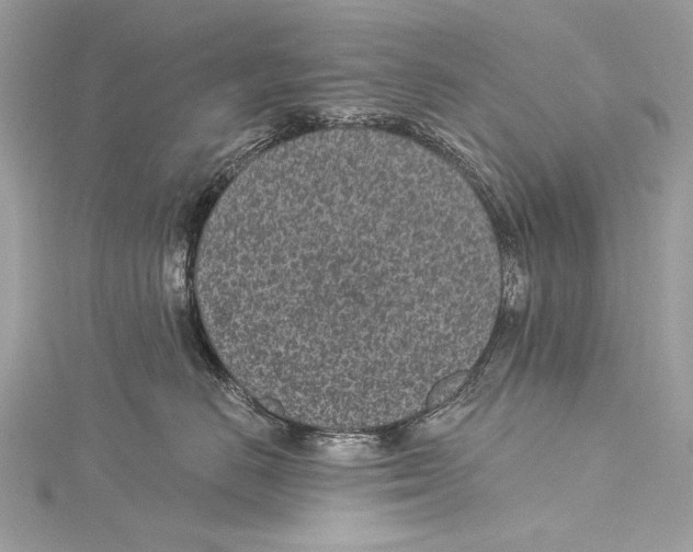 X0000115290670200911301335
