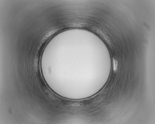 X0000115290675200911301334