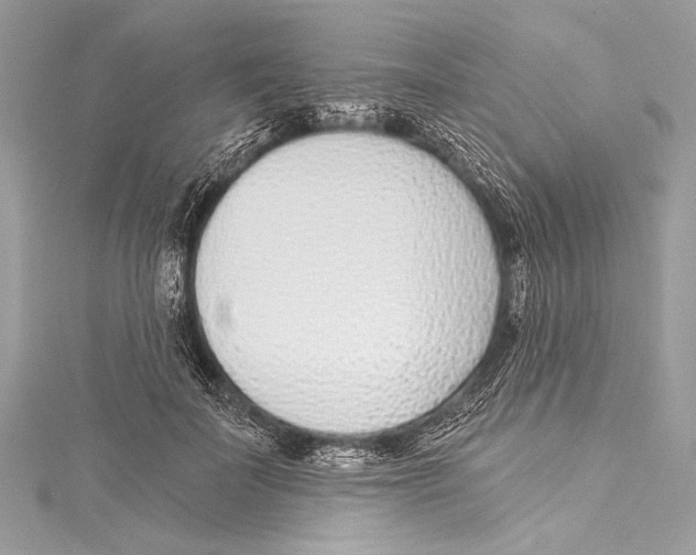 X0000115290699200911301334