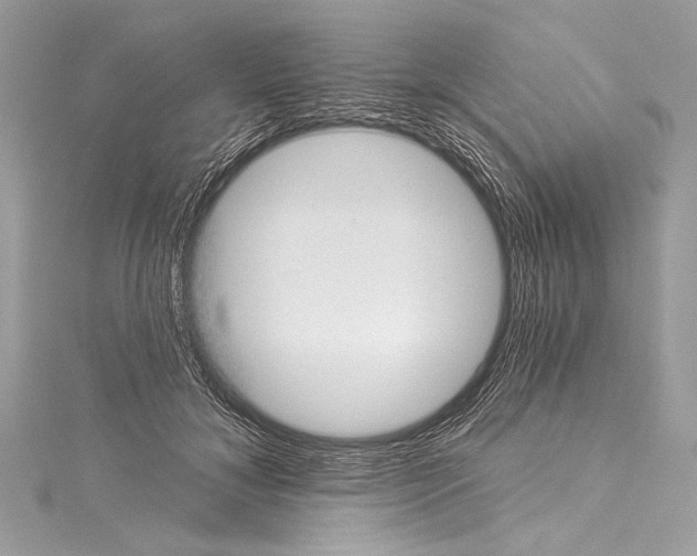 X0000115290700200911301334