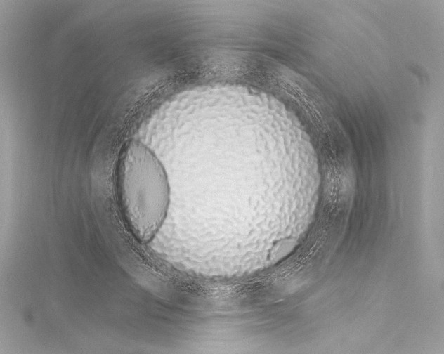 X0000115290701200911301334
