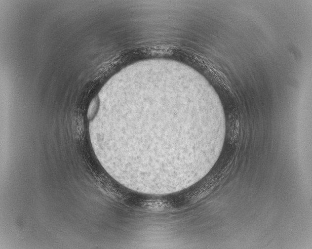 X0000115290704200911301334