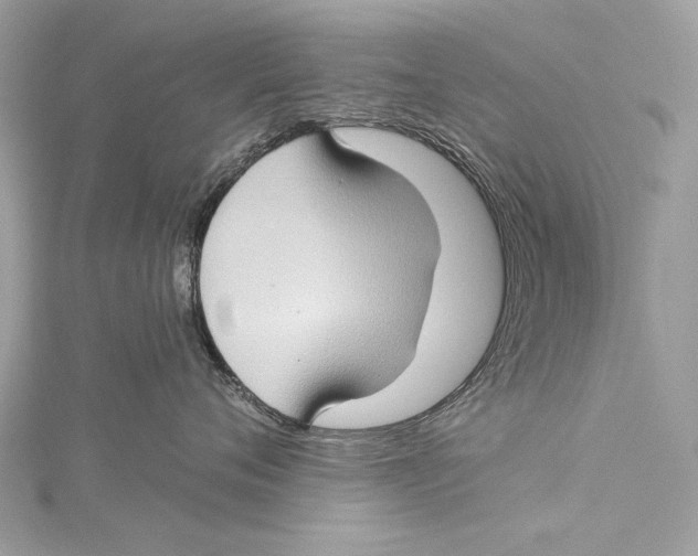 X0000115290720200911301333