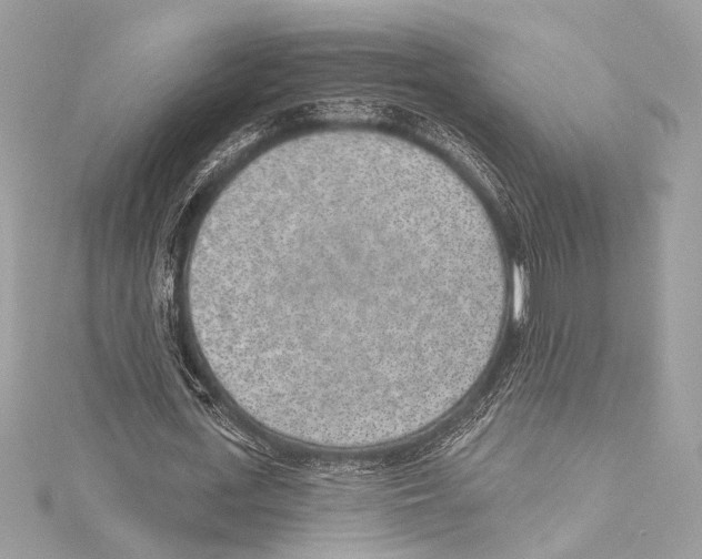 X0000115290723200911301333