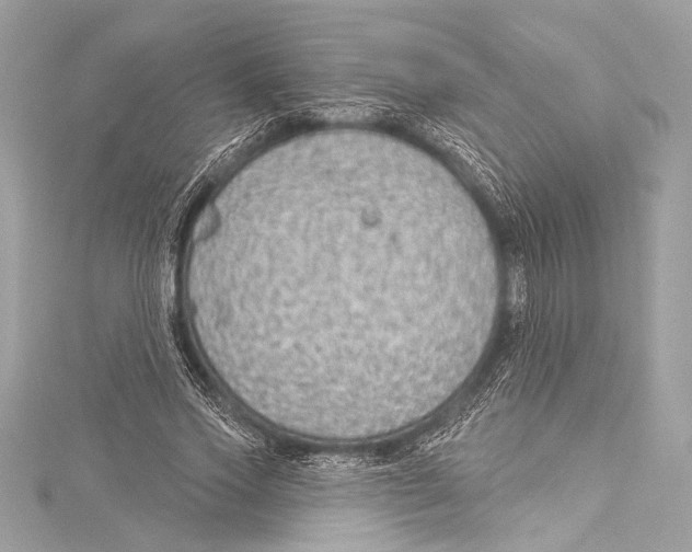 X0000115290733200911301333
