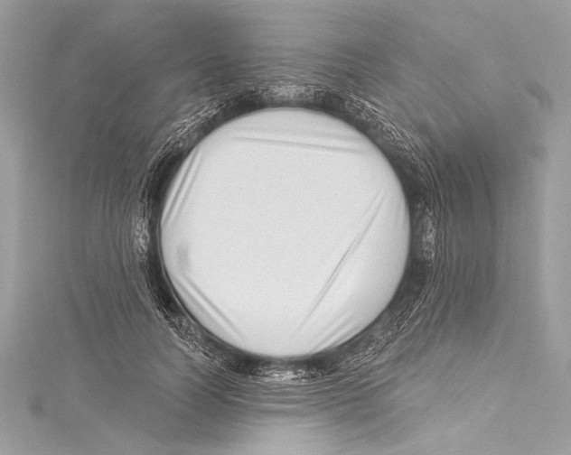 X0000115290746200911301333