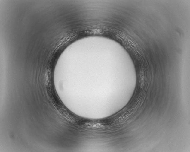 X0000115290747200911301333