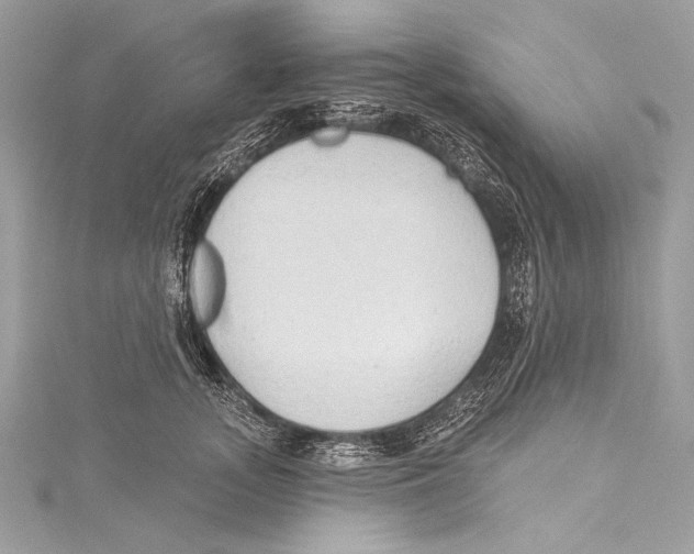 X0000115290755200911301333